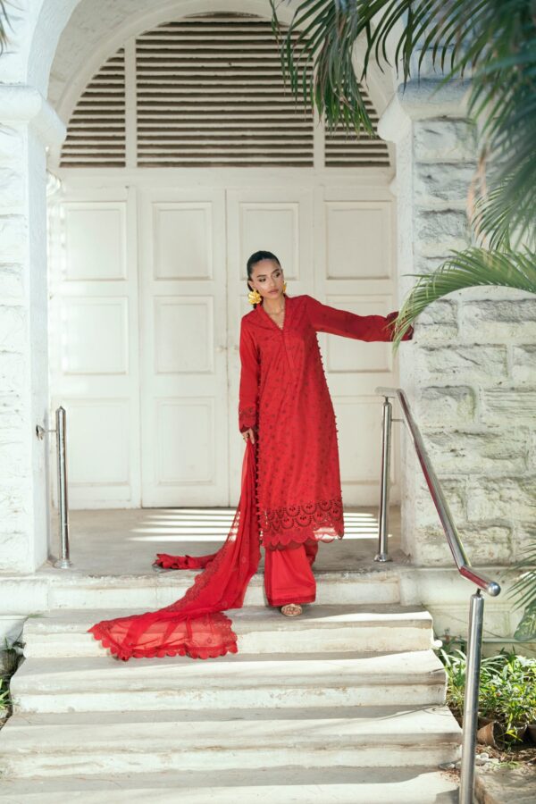 Regalia Chikankari 3pc