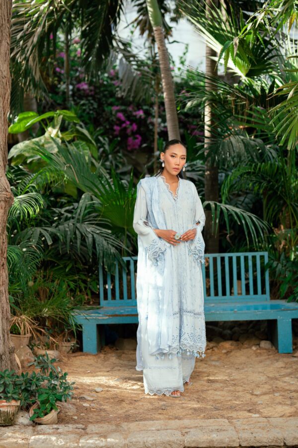 Regalia Chikankari 3pc