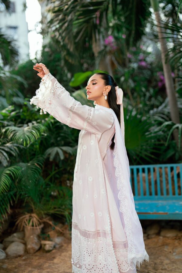 Regalia Chikankari 3pc