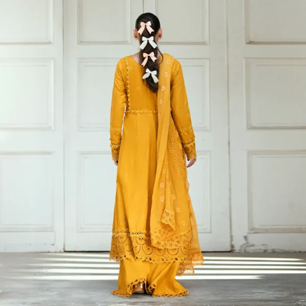Regalia Chikankari 3pc